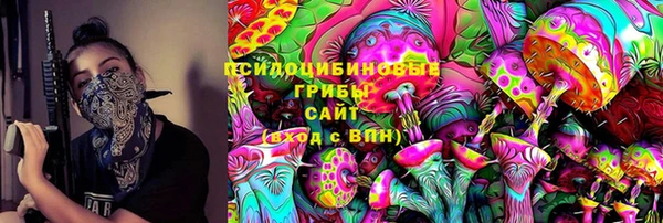 индика Абинск