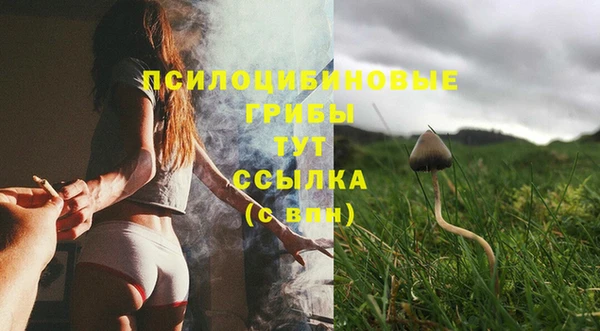 2c-b Абаза