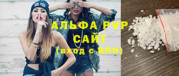 индика Абинск