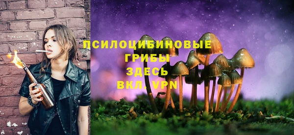 гашик Алзамай