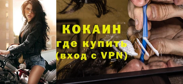 шишки Козловка