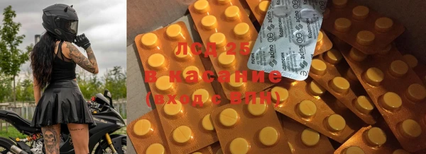 индика Абинск