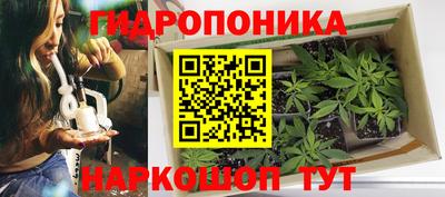 прущая мука Лесосибирск