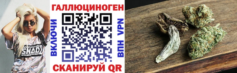 Псилоцибиновые грибы MAGIC MUSHROOMS  hydra как войти  Котлас 