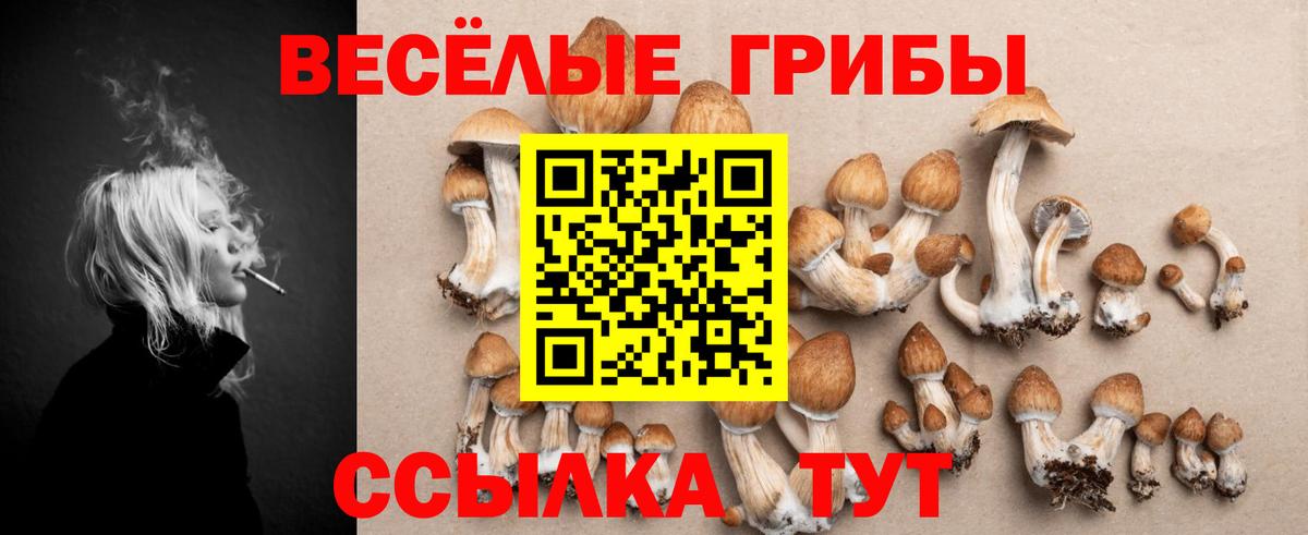 Галлюциногенные грибы мицелий Котлас