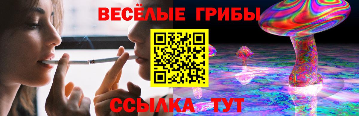 Галлюциногенные грибы мицелий  Вход с VPN  Котлас 